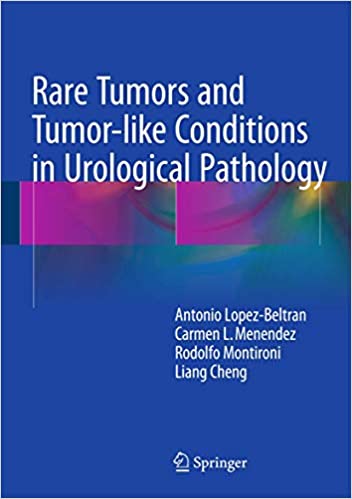 Rare Tumors and Tumor like Conditions in Urological Pathology