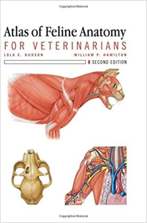 Atlas of Feline Anatomy for Veterinarians 2nd Ed