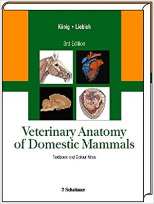 Veterinary Anatomy of Domestic Mammals