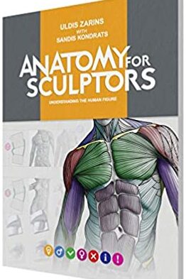 Anatomy for Sculptors Understanding the Human Figure