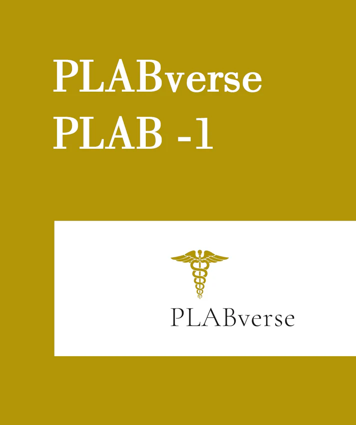 PLABVERSE PLAB 1