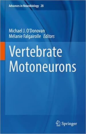 Vertebrate Motoneurons